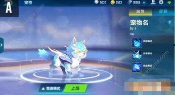 飞车手游宠物最新爆料,神秘属性觉醒，助力玩家驰骋赛道！